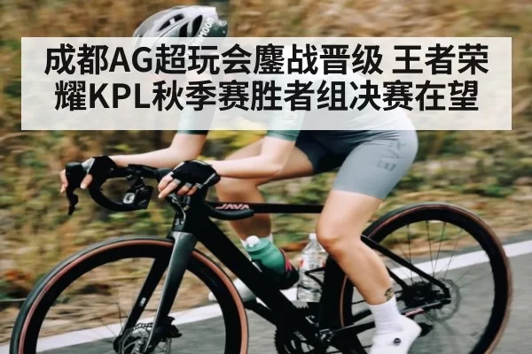 成都AG超玩会鏖战晋级 王者荣耀KPL秋季赛胜者组决赛在望